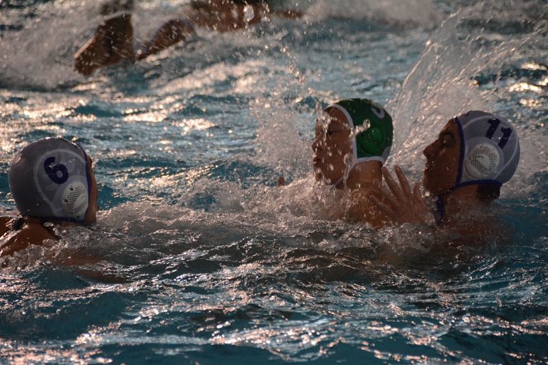 Galeria: X International Waterpolo Warsaw Cup