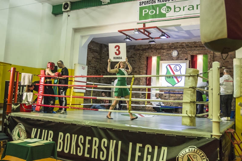 Galeria: Turniej bokserski Legii Warszawa