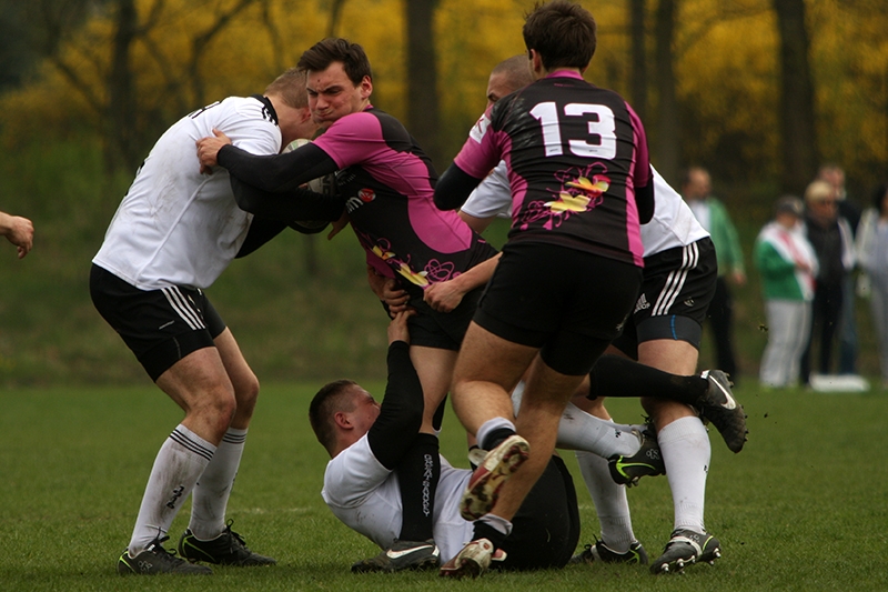 Galeria: Rugby: Legia - Biało-Czarni Nowy Sącz 48:7