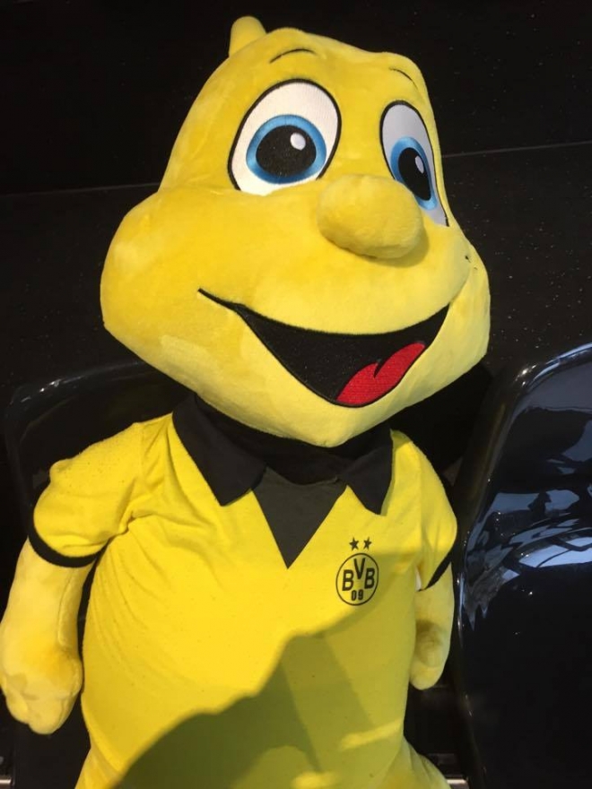 Dortmund miastem Borussii