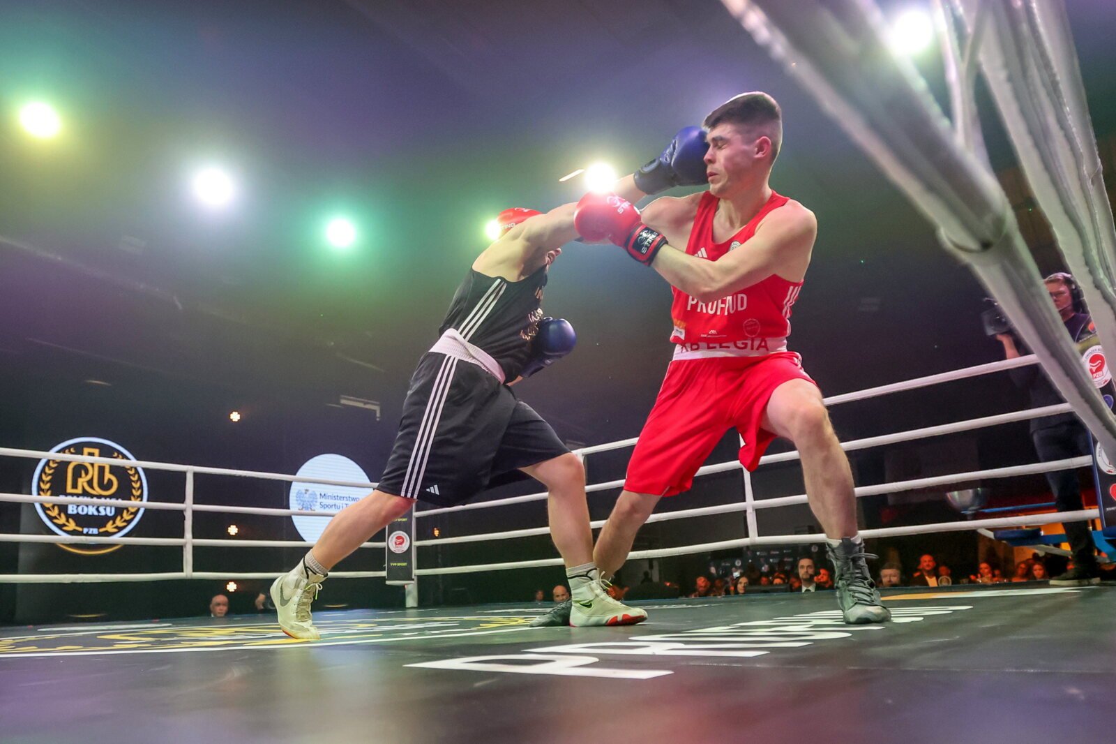 Boks: KB Legia Warszawa - Imperium Boxing Wałbrzych